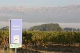 Domaine Pinchinat